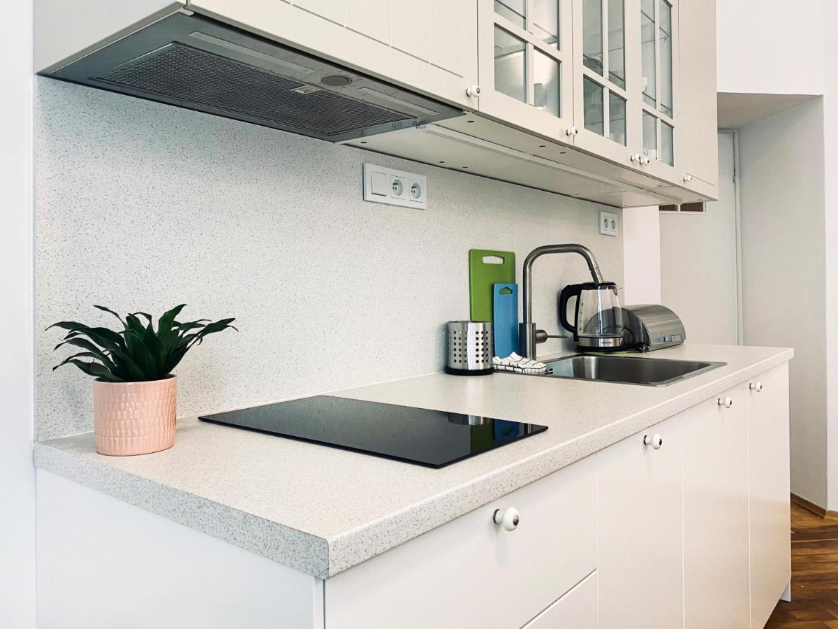 Beautiful Apartment With Two Rooms, Cracow Old Town Krasków Εξωτερικό φωτογραφία