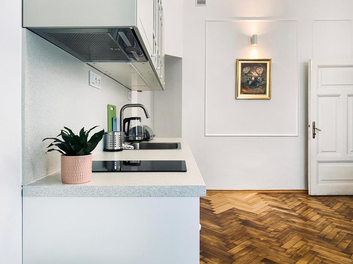 Beautiful Apartment With Two Rooms, Cracow Old Town Krasków Εξωτερικό φωτογραφία
